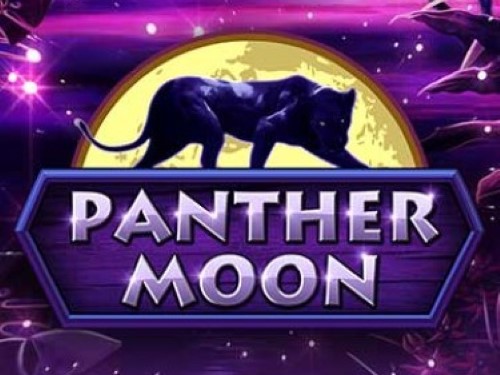 팬서 문 Panther Moon