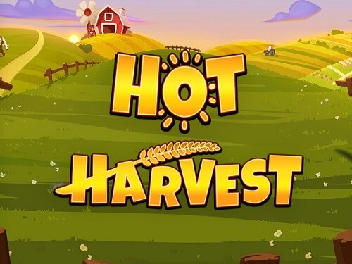 핫 하베스트 Hot Harvest