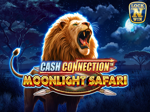 캐시 커넥션 - 문라이트 사파리 Cash Connection - Moonlight Safari