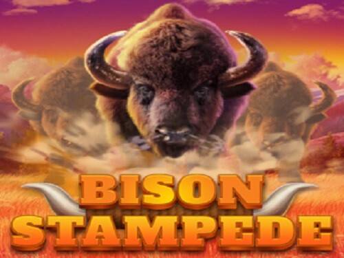 바이슨 스탬피드 Bison Stampede