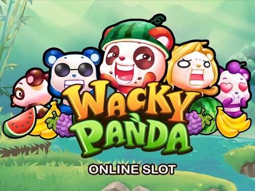 왜키 판다 Wacky Panda