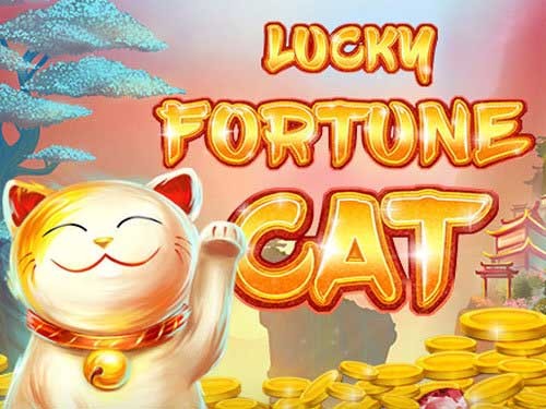 럭키 포춘 캣 Lucky Fortune Cat