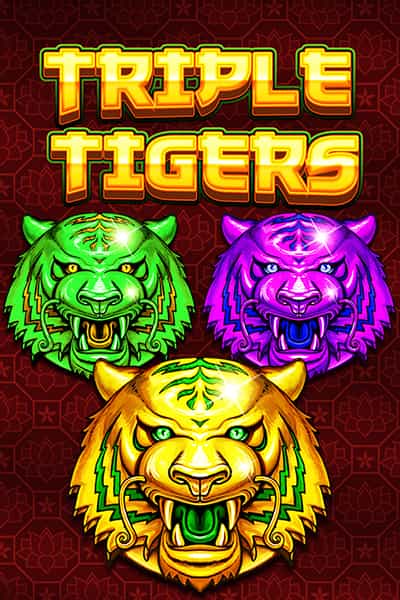 트리플 타이거스 Triple Tigers