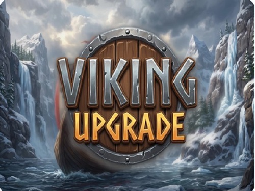 바이킹 업그레이드 Viking Upgrade 