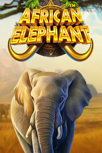 아프리칸 엘리펀트 African Elephant
