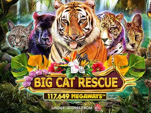 빅 캣 레스큐 메가웨이즈 Big Cat Rescue MegaWays