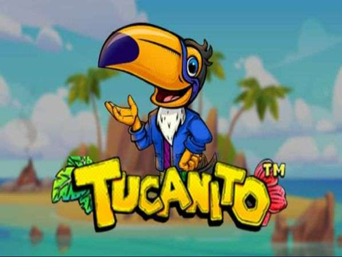 투카니토 Tucanito