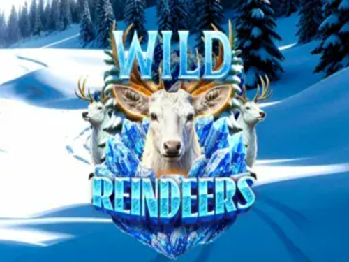 Wild Reindeers Wild Reindeers