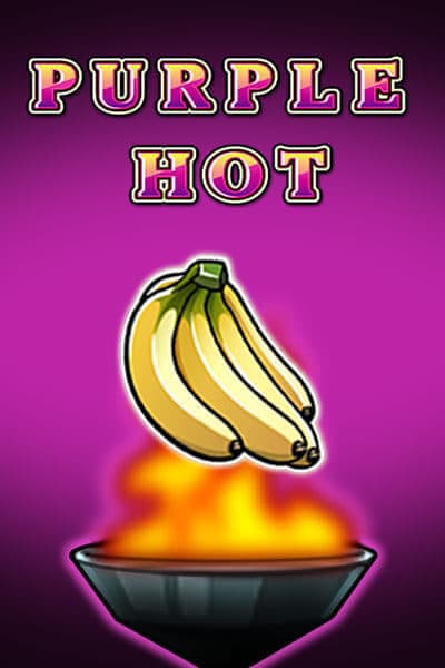 퍼플 핫 Purple Hot