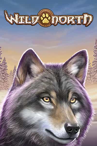 와일드 노스 Wild North