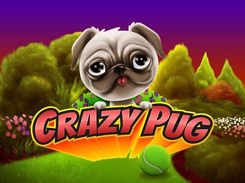 크레이지 퍼그 Crazy Pug