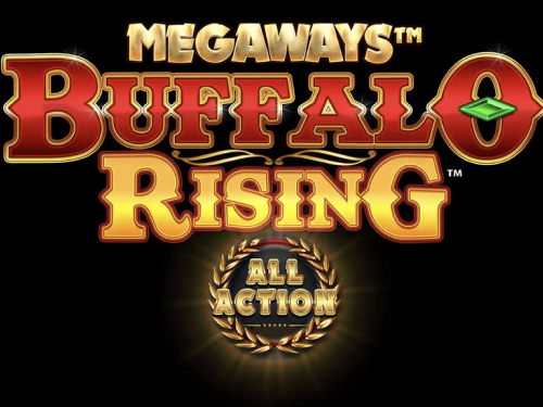 버팔로 라이징 올 액션 Buffalo Rising All Action