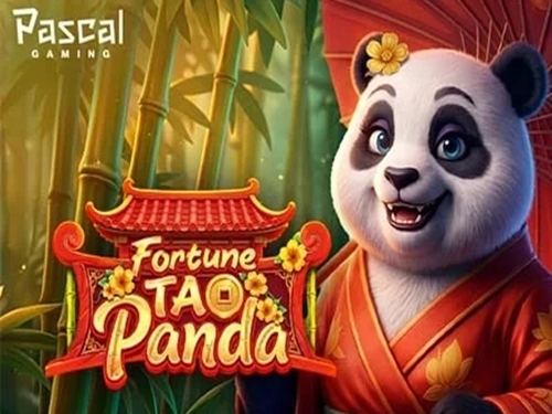 포춘 타오 판다 Fortune Tao Panda