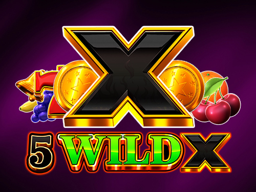 5 와일드 X 5 Wild X