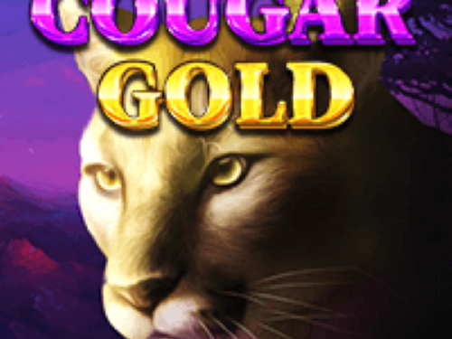 쿠거 골드 Cougar Gold