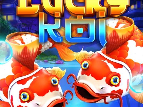 럭키 코이 Lucky Koi