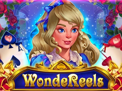 원더릴스 Wondereels 
