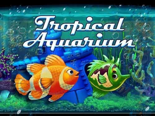 트로피컬 아쿠아리움 Tropical Aquarium