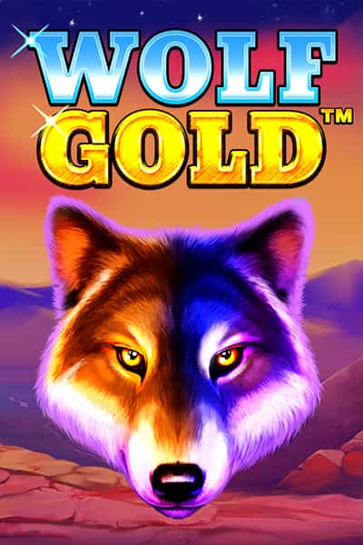 울프 골드 Wolf Gold
