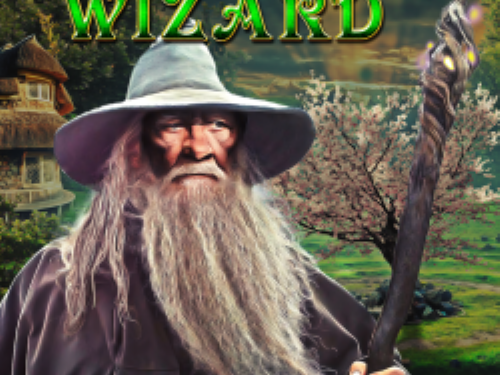 위저드 Wizard