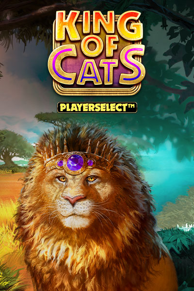 킹 오브 캐츠 메가웨이즈 King of Cats Megaways