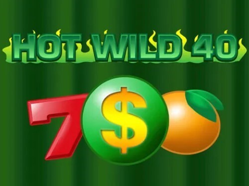 핫 와일드 40 Hot Wild 40