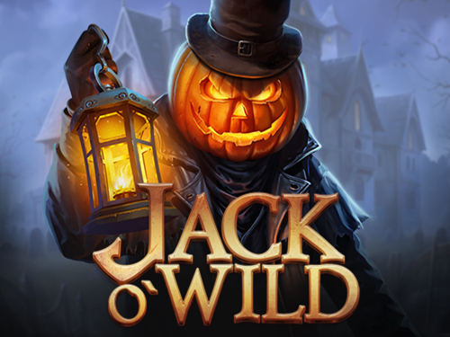 잭 오와일드 Jack O'Wild