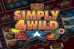 심플리4와일드 Simply4Wild