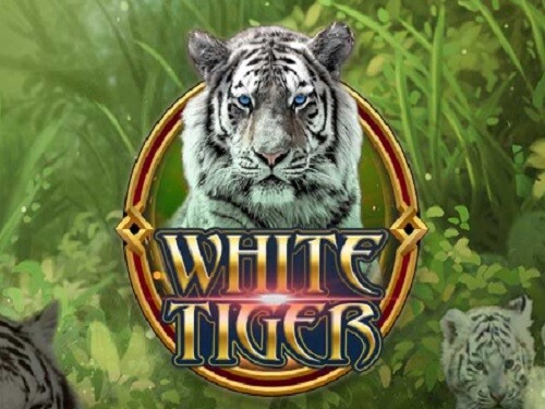 화이트 타이거 White Tiger