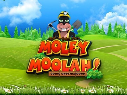 몰리 물라! Moley Moolah!