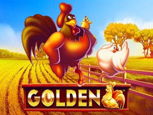 골든 헨 Golden Hen
