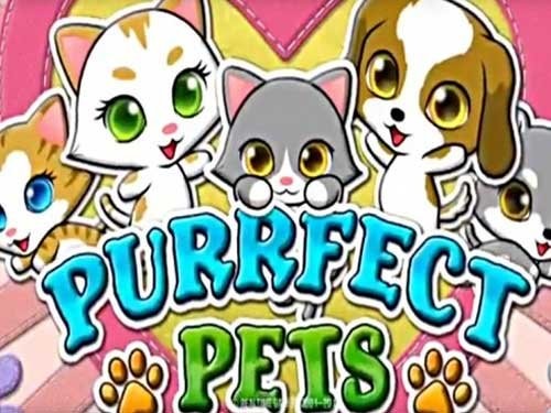 퍼펙트 펫츠 Purrfect Pets
