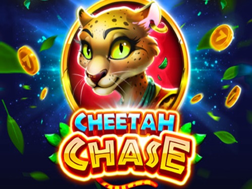 치타 체이스 Cheetah Chase