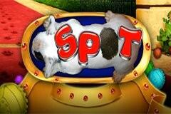 스팟 Spot