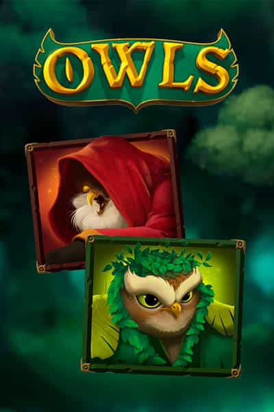 아울스 Owls