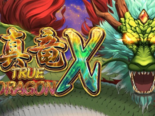 트루 드래곤 X True Dragon X 