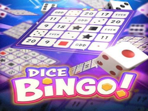 다이스 빙고 Dice Bingo