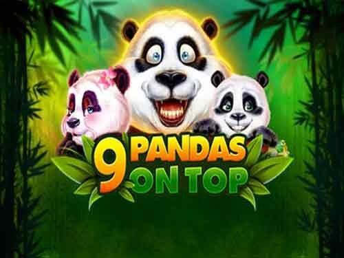 9 판다스 온 톱 9 Pandas On Top