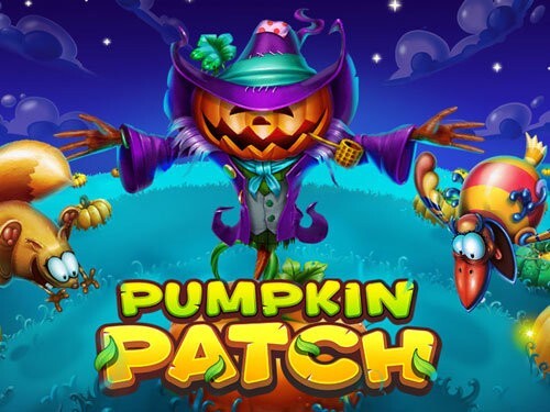 펌킨 패치 Pumpkin Patch
