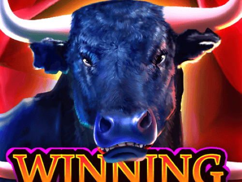 위닝 불 Winning Bull