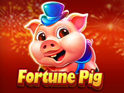 포춘 피그 Fortune Pig