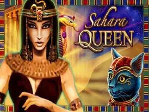 사하라 퀸 Sahara Queen