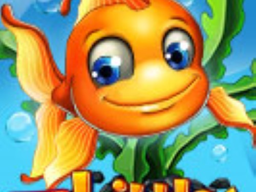 리틀 팬테일 Little Fantail