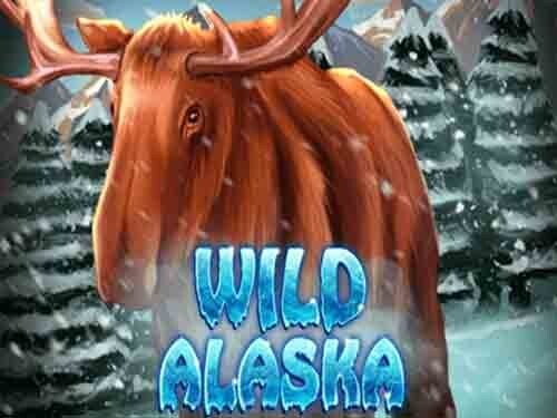 와일드 알래스카 Wild Alaska