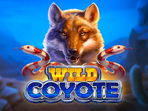 와일드 코요테 Wild Coyote