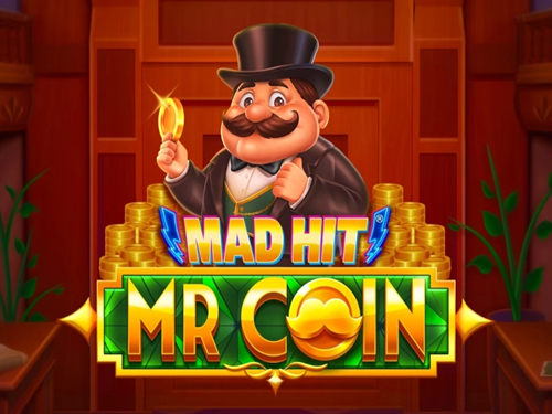 매드 히트 미스터 코인 Mad Hit Mr Coin