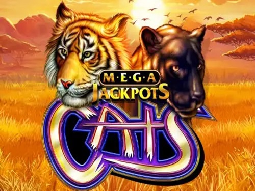 캐츠 메가잭팟스 Cats MegaJackpots