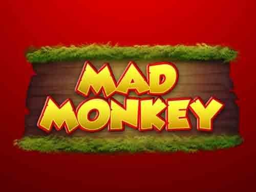 매드 몽키 Mad Monkey
