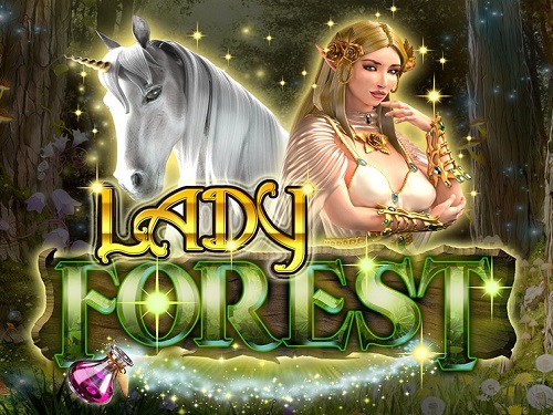 레이디 포레스트 Lady Forest 