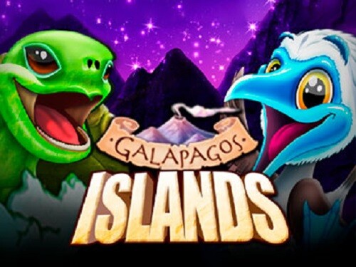갈라파고스 아일랜드 Galapagos Island